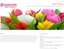 Tablet Screenshot of flashflower.com